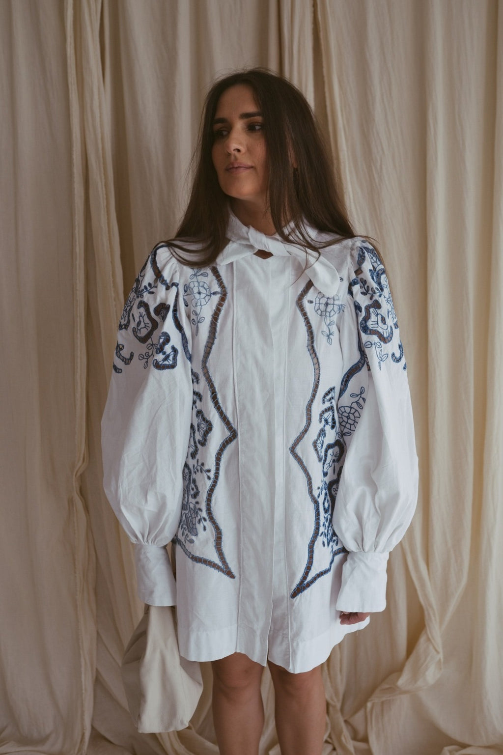 Alma, a vintage embroidered dress with voluminous sleeves