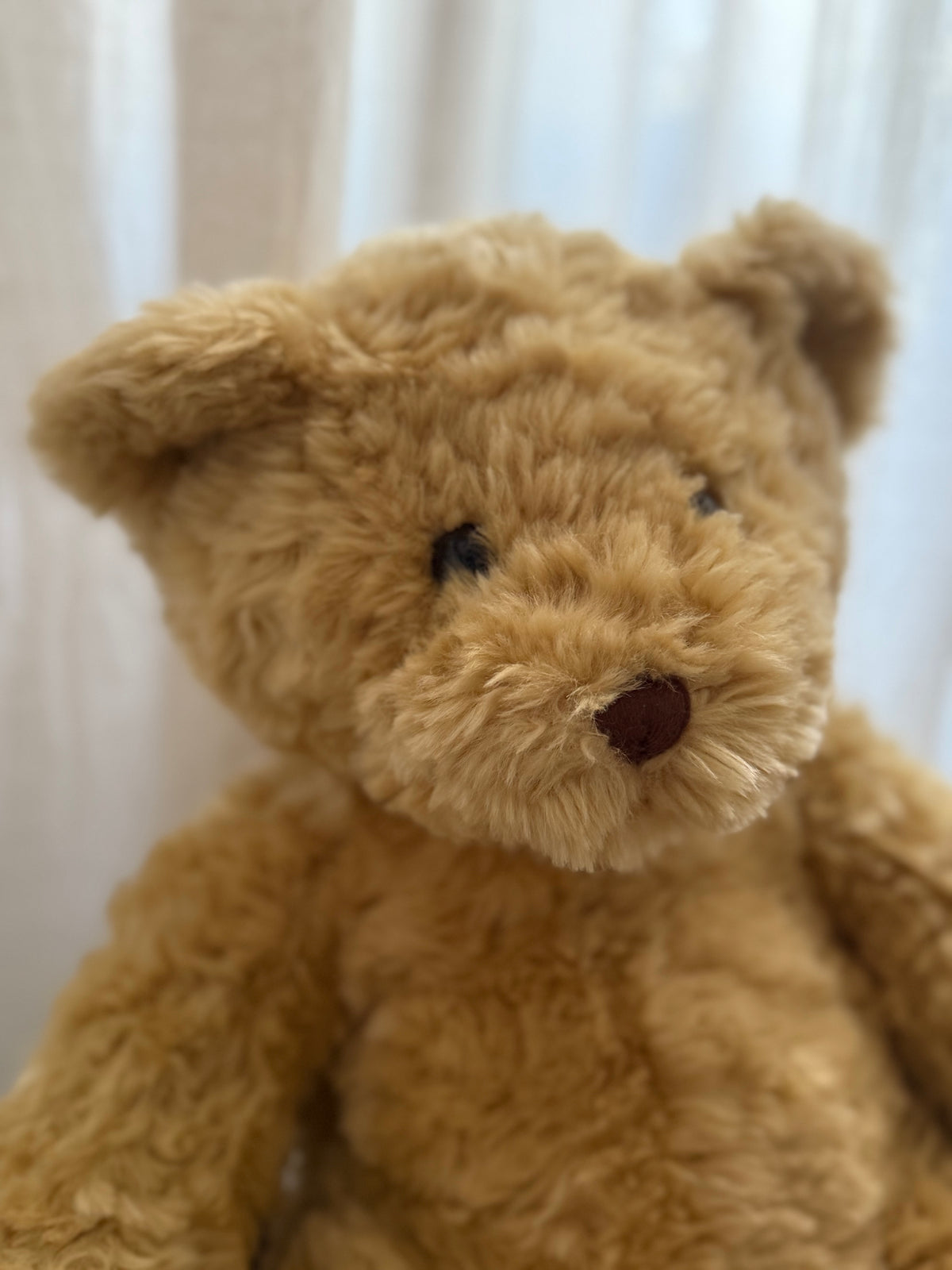 Kids Teddy Bear soft touch