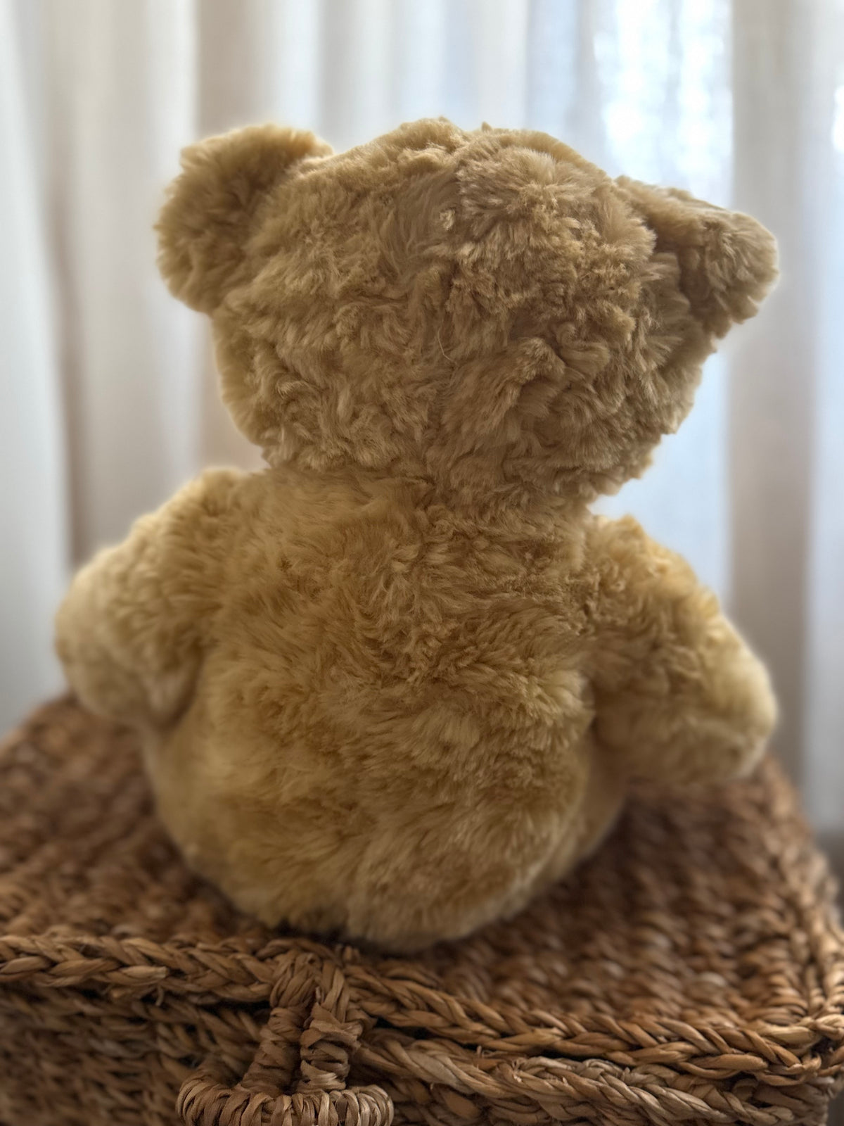 Kids Teddy Bear soft touch