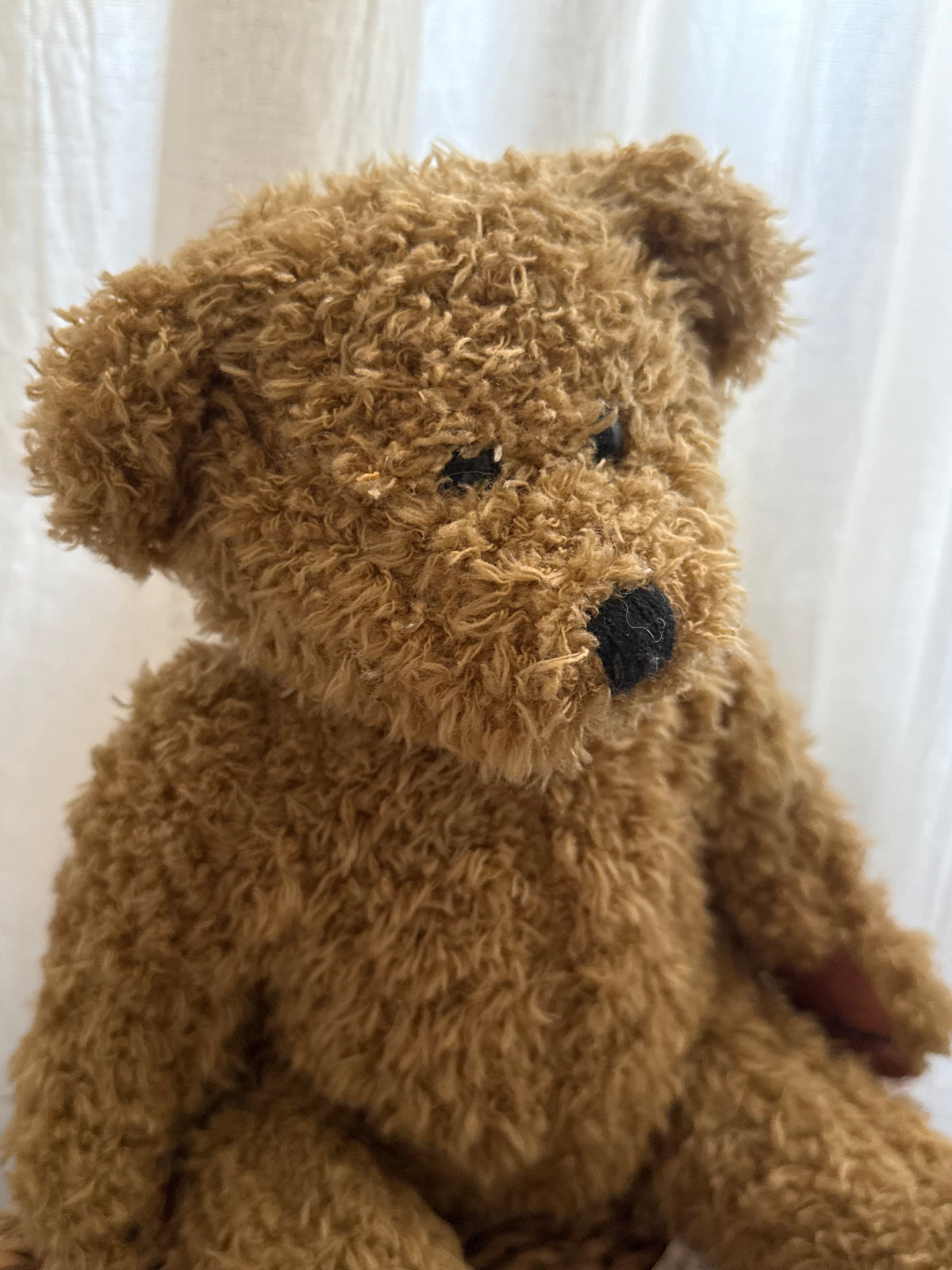 Kids Teddy Bear soft touch