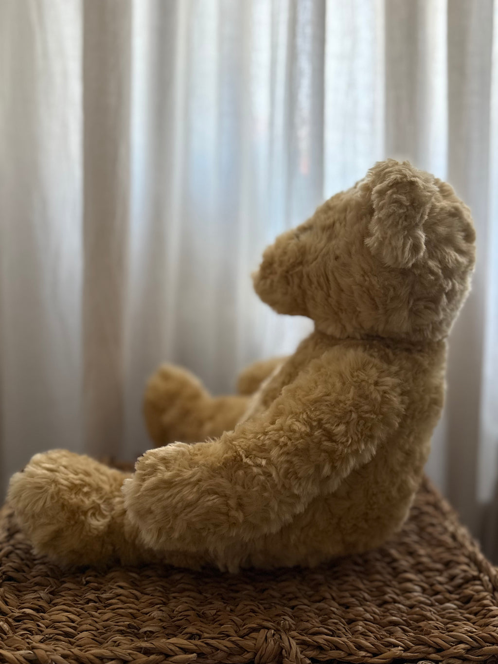 Kids Teddy Bear soft touch