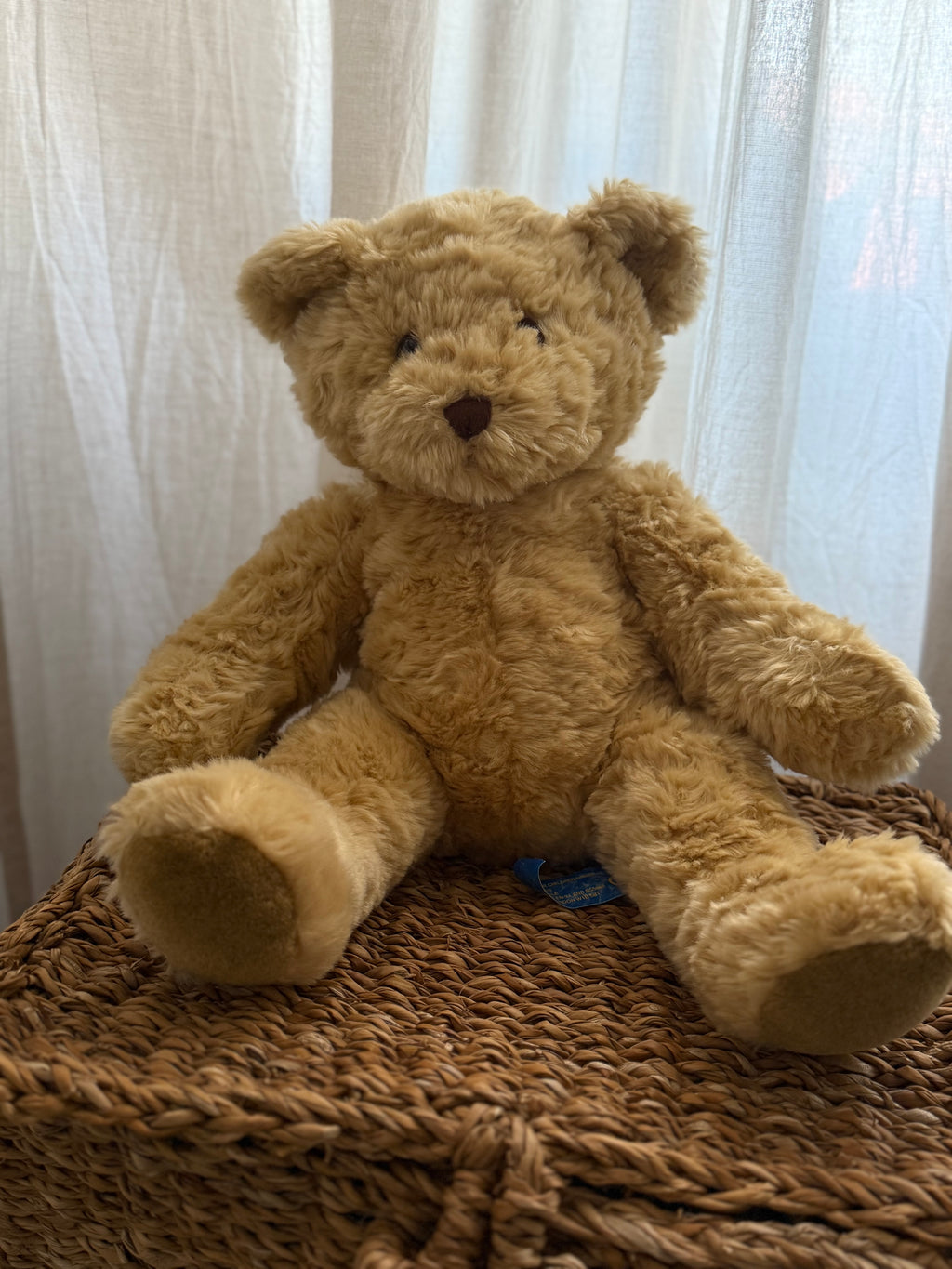 Kids Teddy Bear soft touch